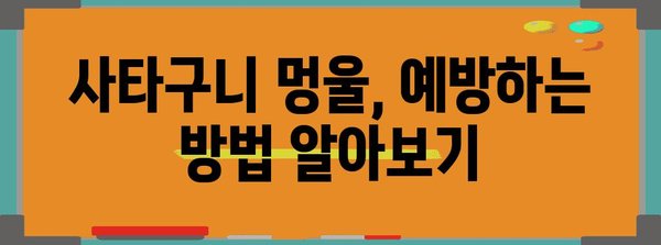 사타구니 멍울 완전 가이드 | 원인별 대처법과 치료 옵션
