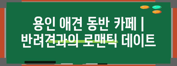 용인 애견 동반 카페 | 반려견과의 로맨틱 데이트