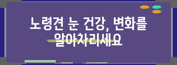 나이 든 강아지 눈 건강 지키는 필수 관리법