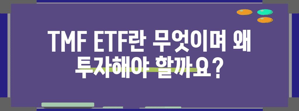 TMF ETF 투자 전략 가이드 | 초보자를 위한 단계별 안내