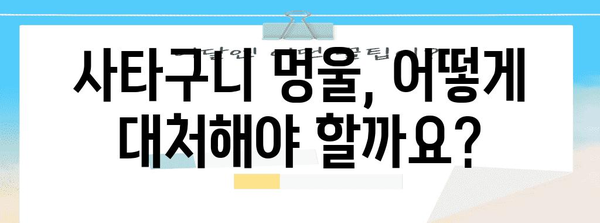 사타구니 멍울 완전 가이드 | 원인별 대처법과 치료 옵션