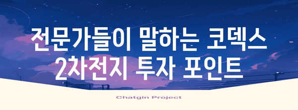 코덱스 2차전지 주식 전망 | 투자 전략 분석