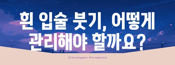 흰 입술 붓기 | 주요 원인과 효과적 대처법