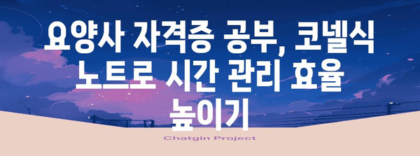 코넬식 노트 활용법 | 요양사 자격증 공부법 정복하기