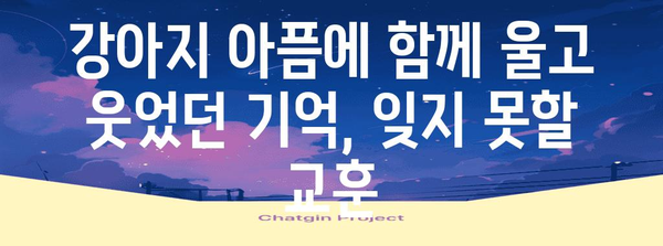 강아지 입원 이야기 | 힘든 시간과 소중한 교훈