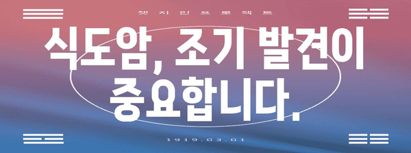 식도암 초기 증상 가이드 | 원인, 대처법, 예방까지