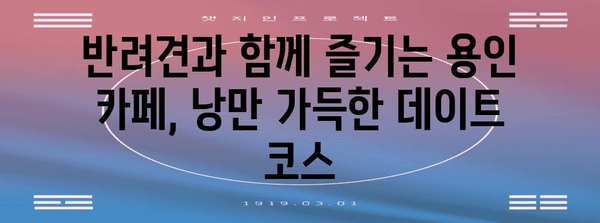 용인 애견 동반 카페 | 반려견과의 로맨틱 데이트
