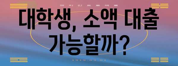 대학생 소액 대출 | 자격, 최고 업체, 신청 방법