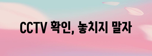 택시 분실물 찾기 성공 비결 | 효과적인 방법 분석