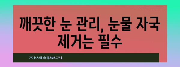 나이 든 강아지 눈 건강 지키는 필수 관리법