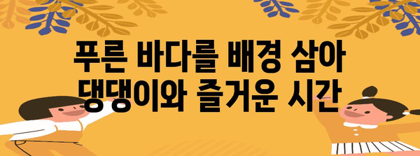 애견 친화 카페 | 대부도에서 즐기는 바다를 바라보며