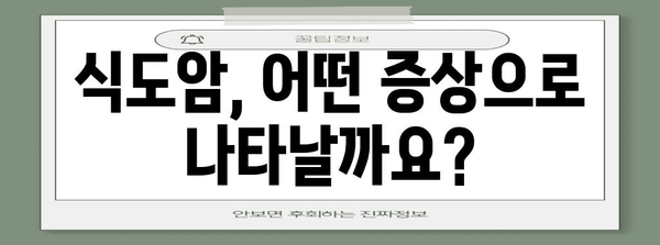 식도암 초기 증상 가이드 | 원인, 대처법, 예방까지