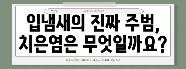 입냄새의 진짜 주범 치은염 | 원인과 해결 방법