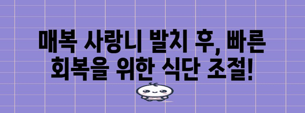 매복 사랑니 발치 후 식단 | 편안한 회복을 위한 필수 사항