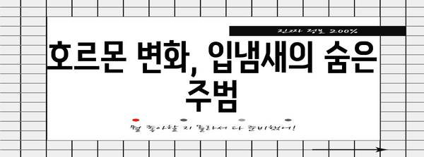 호르몬 변화가 숨긴 입냄새 | 원인과 해결책