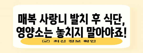 매복 사랑니 발치 후 식단 | 편안한 회복을 위한 필수 사항