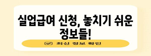 실업급여 온라인 신청 완벽 가이드