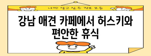 허스키와 편안한 휴식 | 서울 강남의 애견 카페 데이트