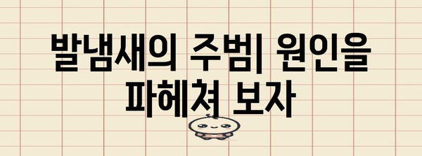 발냄새 완벽 해결 가이드 | 원인부터 제거 솔루션까지