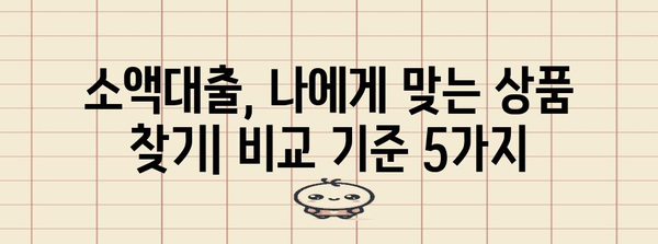 소액대출 신청? 주요 비교 기준 5가지로 현명한 선택하세요