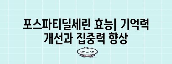뇌 건강 필수 영양제 | 포스파티딜세린 효능과 권장 사항