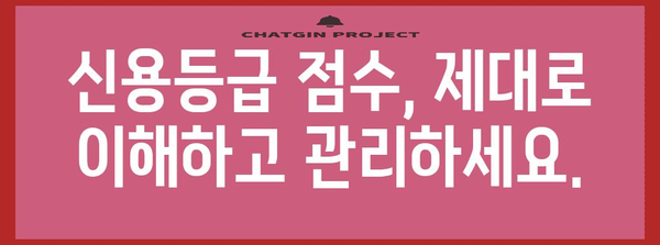 신용등급 점수 향상 가이드 | 완벽한 분석, 팁, 대출 승인 높이기