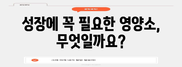 성장기 아동 필수 영양소 | 건강한 식단을 위한 가이드