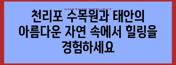 노지캠핑 및 차박 여행 가이드 | 천리포와 태안의 이색적인 즐거움