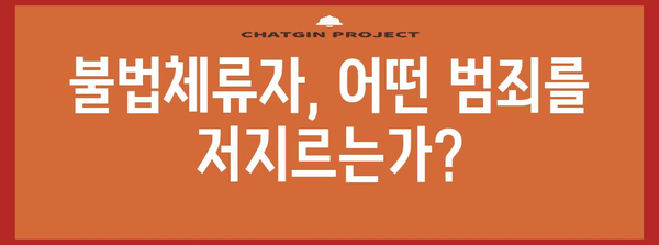 불법체류자의 법적 처벌과 권리 보호