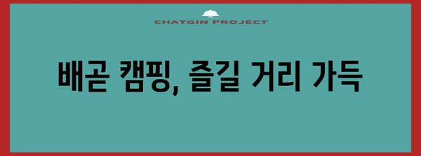배곧 캠핑 둘러보기 | 맛집 안내와 예산 관리 꿀팁