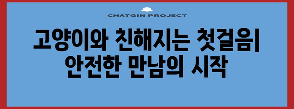 고양이와 친구 되기 | 안전한 상호 작용 가이드