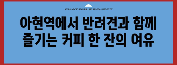아현역 반려견과 즐거운 커피 타임 | 추천 카페 속으로