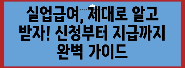 중장년층 취업 지원 | 필독 자격증과 실업급여 안내