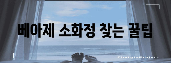 배탈 해결사 베아제 소화정 찾는 쉽고 간편한 방법