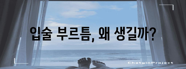 입술 부르틈 원인과 해결법 | 치유부터 예방까지의 완벽 가이드