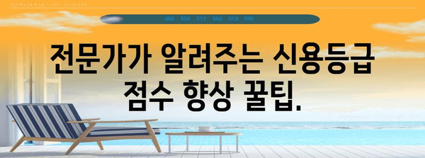 신용등급 점수 향상 가이드 | 완벽한 분석, 팁, 대출 승인 높이기