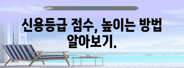 신용등급 점수 향상 가이드 | 완벽한 분석, 팁, 대출 승인 높이기