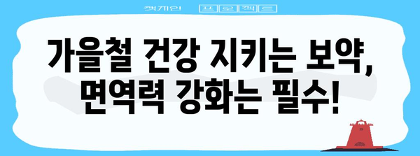 가을철 보약으로 감기와 몸살 빠른 예방과 면역력 강화하기