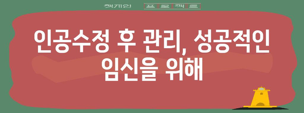 난임 극복을 위한 인공수정 가이드 | 과정, 성공률, 주의사항