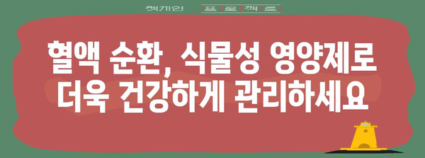 혈액 순환 개선 | 식물성 영양제의 효과