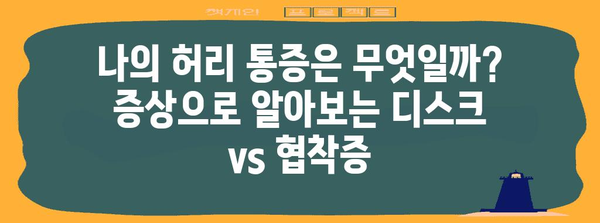 허리 통증의 범인 | 허리디스크 vs 협착증, 완벽 진단법