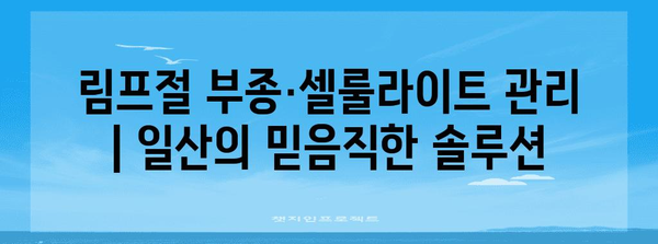 림프절 부종·셀룰라이트 관리 | 일산의 믿음직한 솔루션