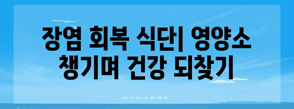 장염 회복 식단 | 허용 음식과 신속한 회복을 위한 타임라인