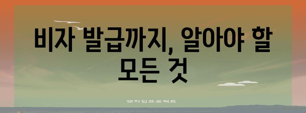 미국 비자 신청 심플 가이드 | 필수 정보와 단계별 지침으로 서류 통과 확률 UP