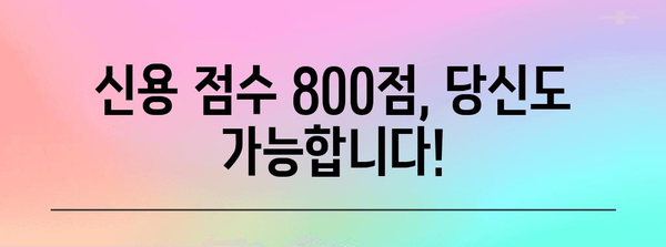 신용 점수 800 달성 가이드 | 탁월한 신용을 위한 실천 지침