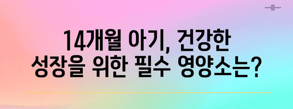 14개월 아기 필수 영양소 가이드 | 건강한 성장을 위한