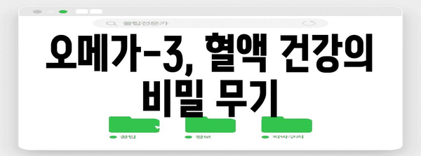 건강한 혈류를 위한 오메가-3 영양제 추천 | 효과와 효능