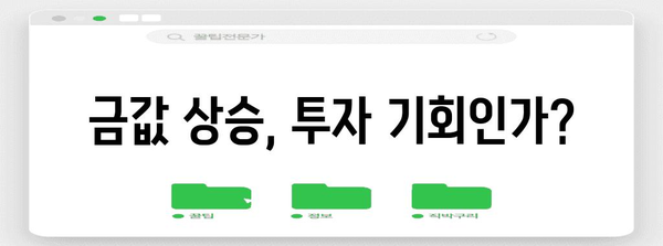 금값 상승 | 골드 ETF 전망과 투자 전략