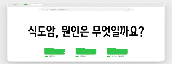 식도암 초기 증상 가이드 | 원인, 대처법, 예방까지