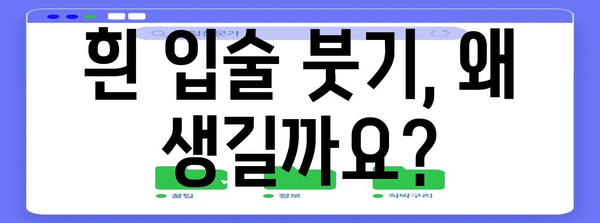 흰 입술 붓기 | 주요 원인과 효과적 대처법